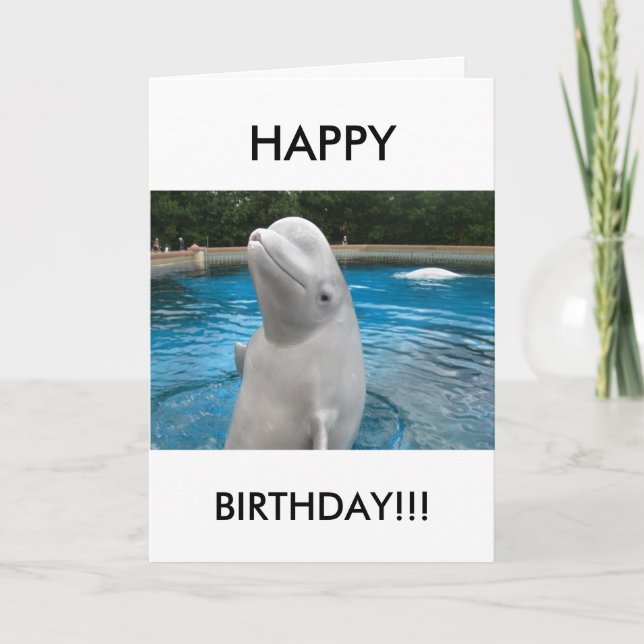 HAPPY BIRTHDAY Greeting Card with Beluga Whale (Front)