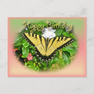 Happy Birthday Greeting Tiger Swallowtail Butterfl Postcard