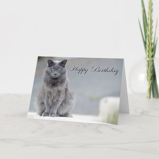 Happy Birthday Grey Cat Card (Front)