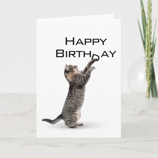Happy Birthday Grey Tabby Cat Card (Front)