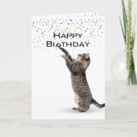 Happy Birthday Grey Tabby Cat