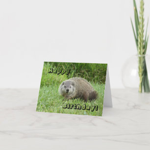 Happy Birthday groundhog Card