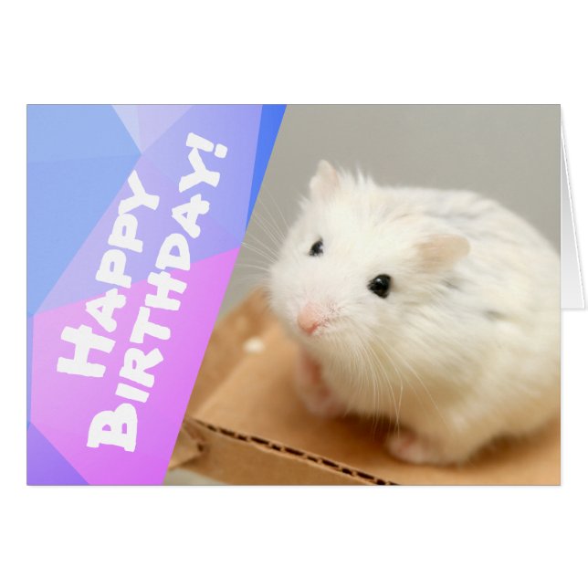 Happy Birthday - Hammyville White Hamster  (Front Horizontal)