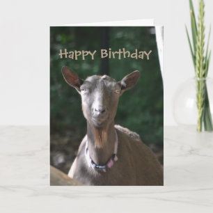 Happy Birthday Handsome Old Goat Card