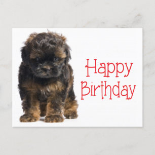 Happy Birthday Havanese Puppy Dog Postcard