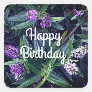 Happy Birthday Hebe Mauve Fingers Stickers