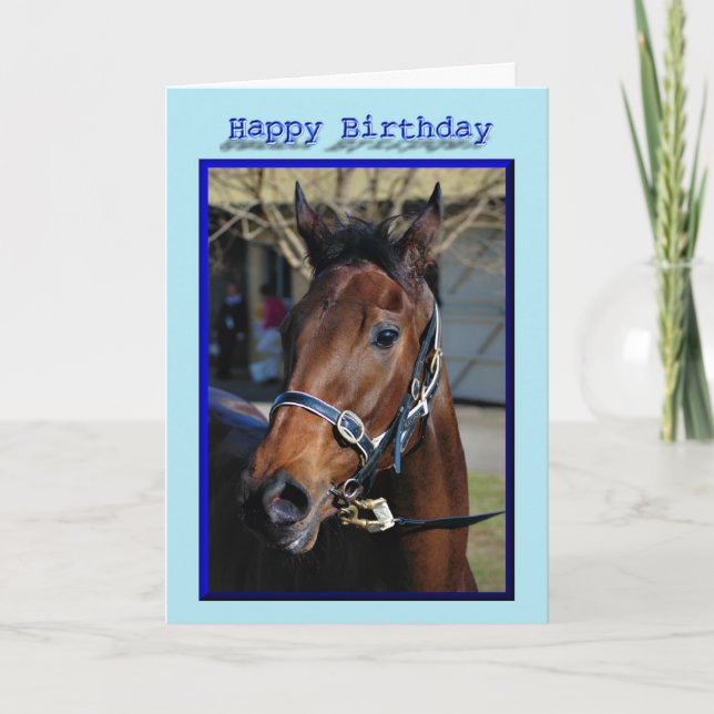 Happy Birthday Horse Birthday mare stallion foal Card (Front)