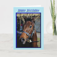 Happy Birthday Horse Birthday mare stallion foal