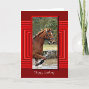Happy Birthday Horse Birthday mare stallion foal Card