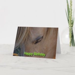 Happy Birthday Horse Birthday mare stallion foal Card