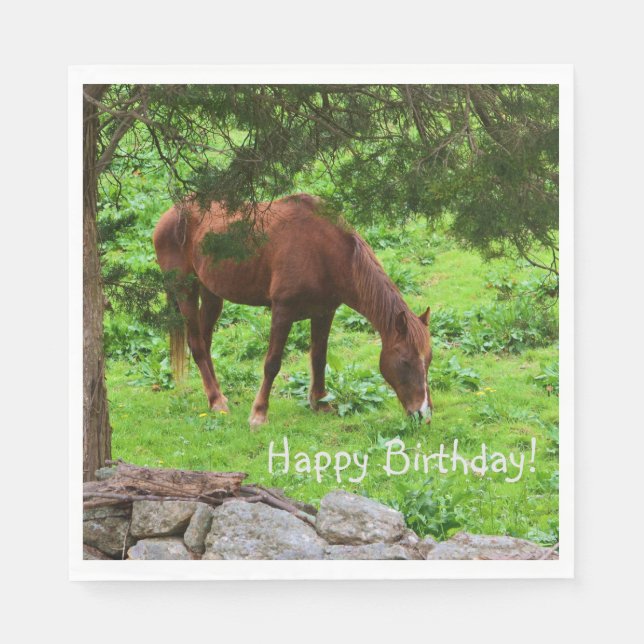 Happy Birthday Horse Napkin (Front)