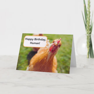 Happy Birthday Human Brown Chicken Hen Close-up Card
