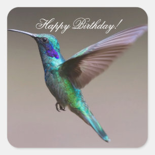 Happy Birthday Hummingbird Square Sticker