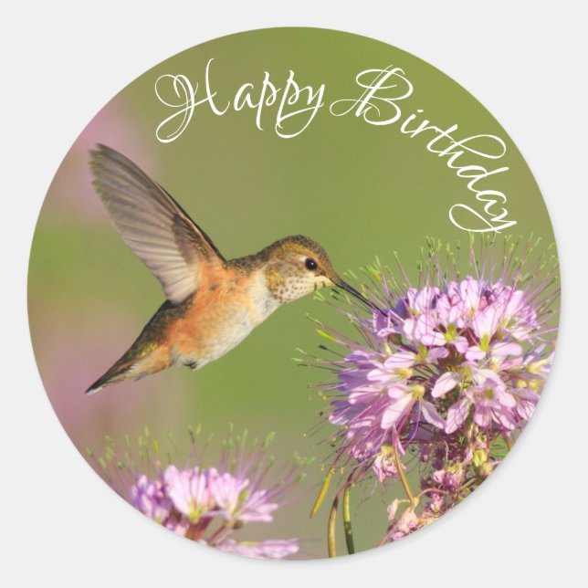 Happy Birthday Hummingbird Wildflowers Classic Round Sticker (Front)