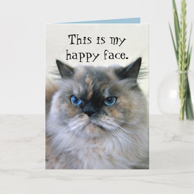 Happy Birthday Humour Himalayan Persian Cat Card (Front)