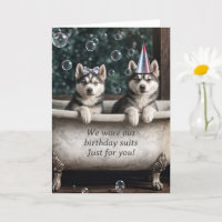 Happy Birthday Humourous Huskies in a Bath Tub
