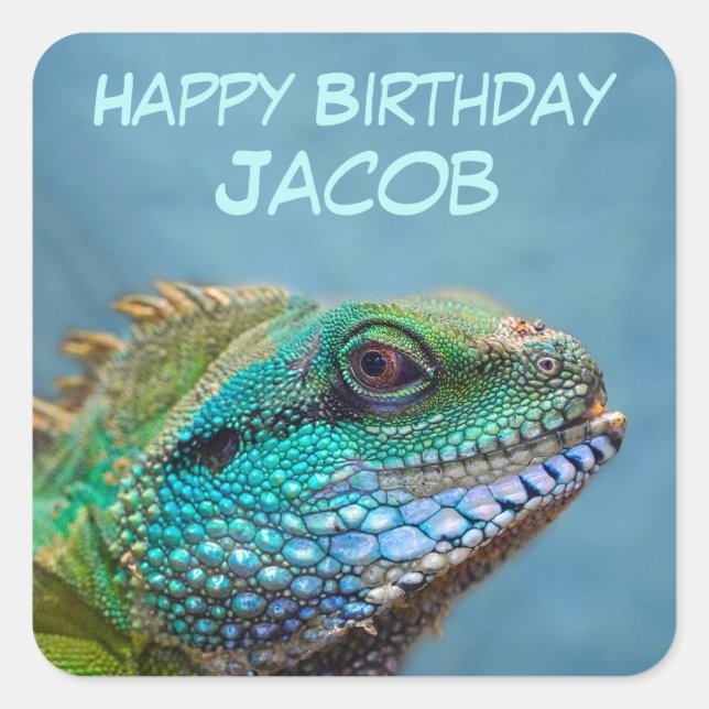Happy Birthday Iguana Square Sticker (Front)