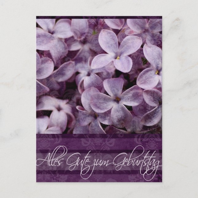Happy Birthday in German Lilac Blossoms Postcard (Front)