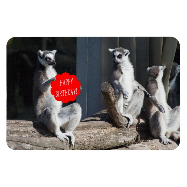 Happy Birthday Katta Magnet (Horizontal)