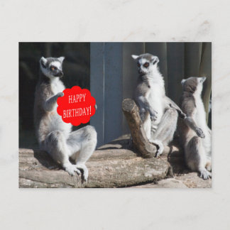 Happy Birthday Katta Postcard