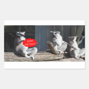 Happy Birthday Katta Rectangular Sticker