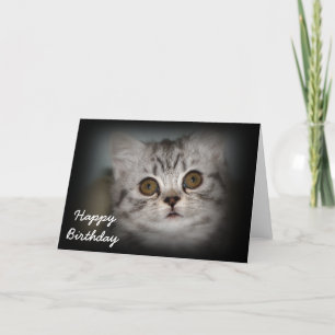 Happy Birthday Kitten Card