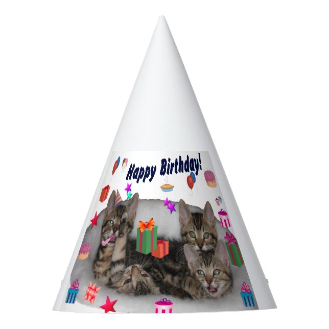 Happy Birthday Kittens Party Hat (Front)