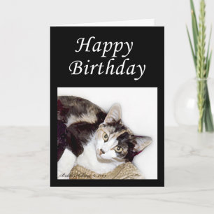 Happy Birthday Kitty Card