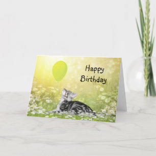 Happy Birthday kitty Card