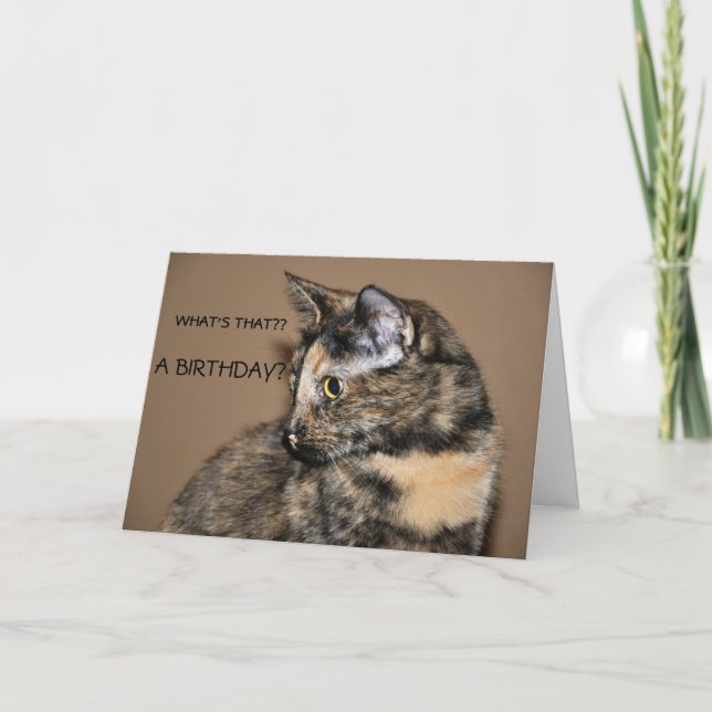 Happy Birthday Kitty Card (Front)