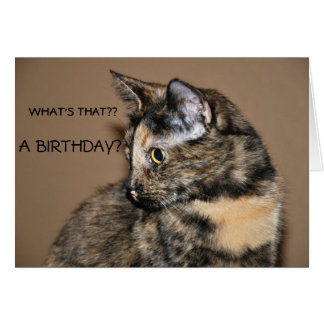 Tortoiseshell Cat Gifts - T-Shirts, Art, Posters & Other Gift Ideas ...