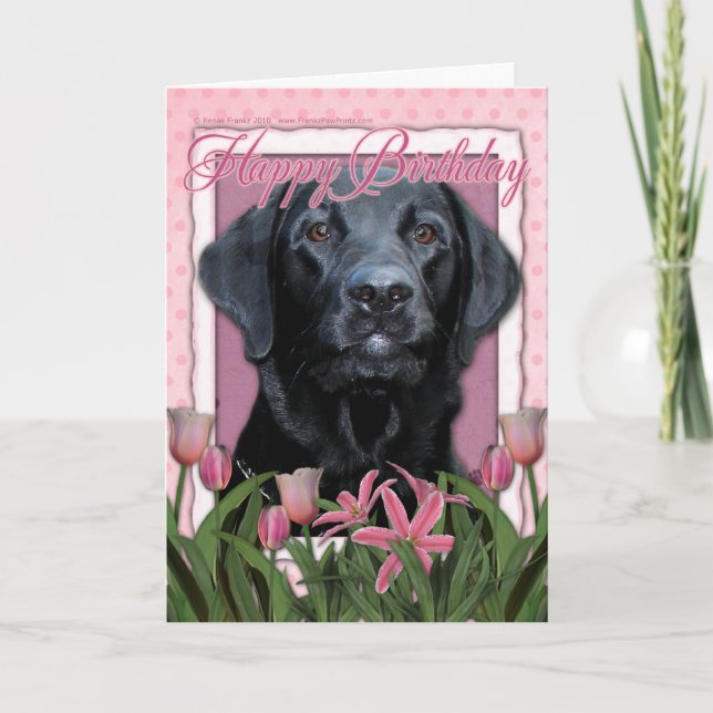 Happy Birthday - Labrador - Black - Gauge Card (Front)
