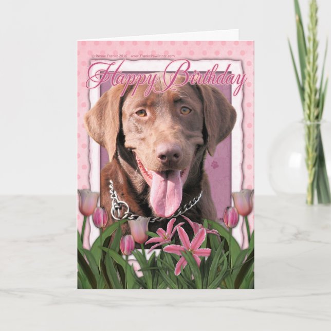 Happy Birthday - Labrador - Chocolate Card (Front)