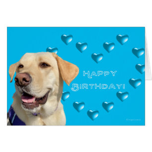 Happy Birthday Labrador Dog Hearts, Adorable