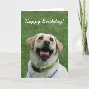 Happy Birthday Labrador Retriever greeting card