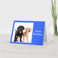 Happy Birthday Labrador Retriever Puppies Card