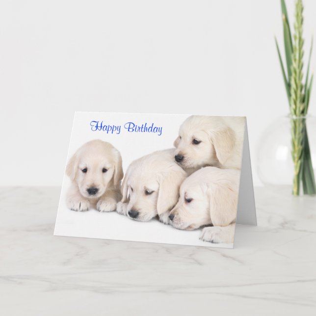 Happy Birthday Labrador Retriever Puppies Card (Front)