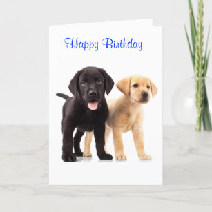 Happy Birthday Labrador Retriever Puppies Card