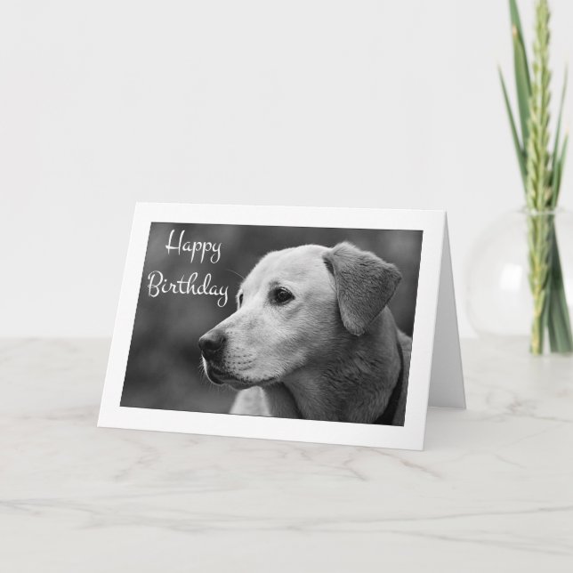 Happy Birthday Labrador Retriever Puppy Card (Front)