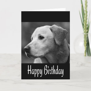 Happy Birthday Labrador Retriever Puppy Dog Black Card