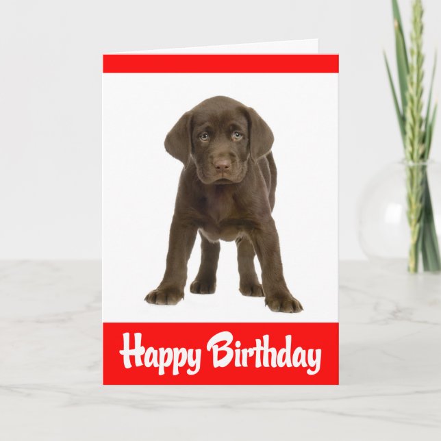 Happy Birthday Labrador  Retriever Puppy Dog Card (Front)
