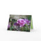 Happy Birthday Lavender Rose Card