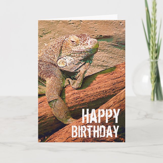 Happy Birthday  - Lazy Lounge Lizard Chillaxing Card (Front)