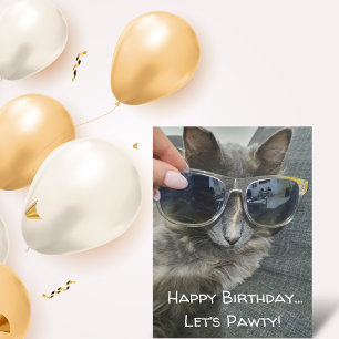 "happy birthday let's pawty" funny cat photo chic postcard