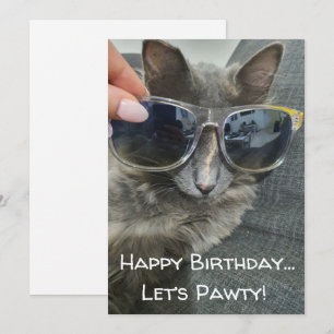 "happy birthday let's pawty" funny grey cat photo card