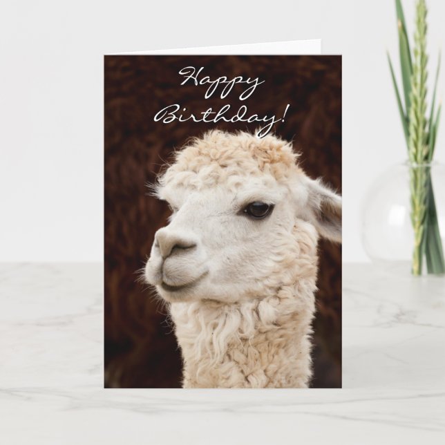 Happy Birthday llama greeting card (Front)