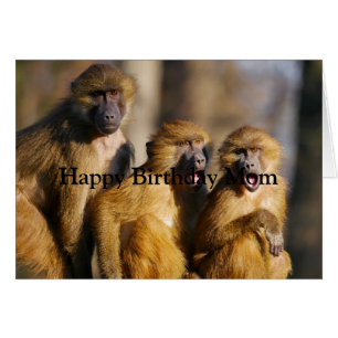 Happy Birthday Love From Your Monkeys Fun Animal