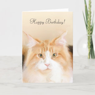 Happy Birthday Main Coon Cat Card