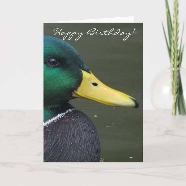 Happy Birthday Mallard Duck Card (Front)