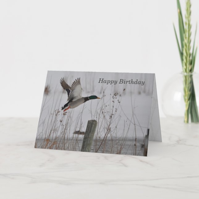 Happy Birthday Mallard Duck Card (Front)